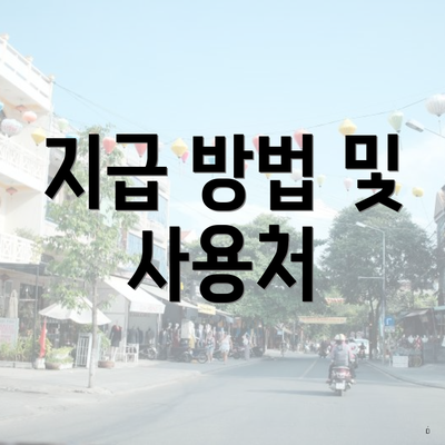 지급 방법 및 사용처