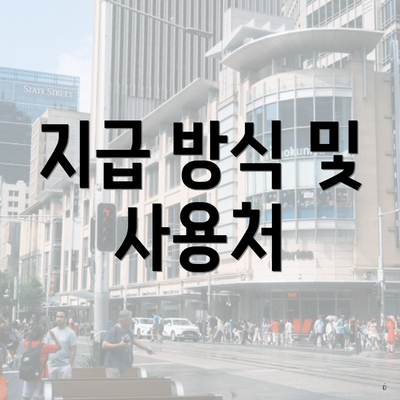 지급 방식 및 사용처