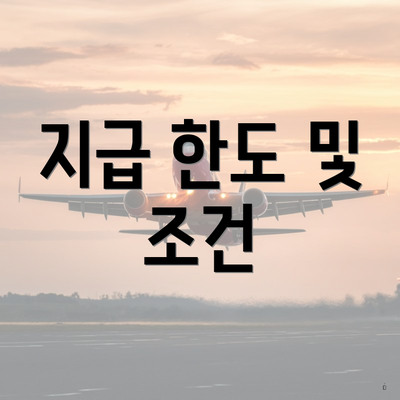 지급 한도 및 조건