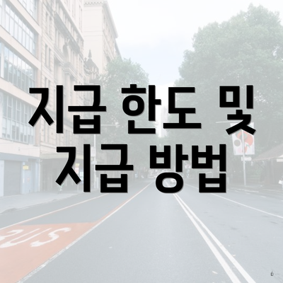 지급 한도 및 지급 방법