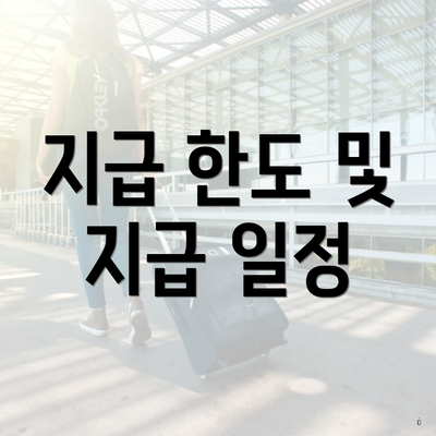 지급 한도 및 지급 일정