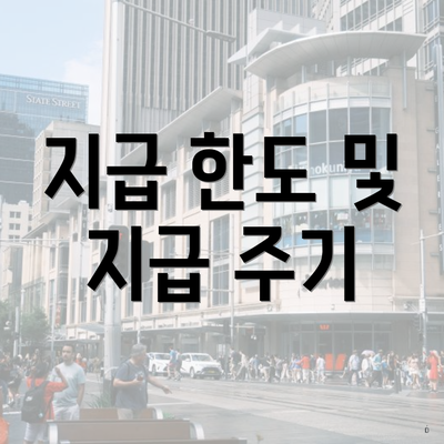 지급 한도 및 지급 주기