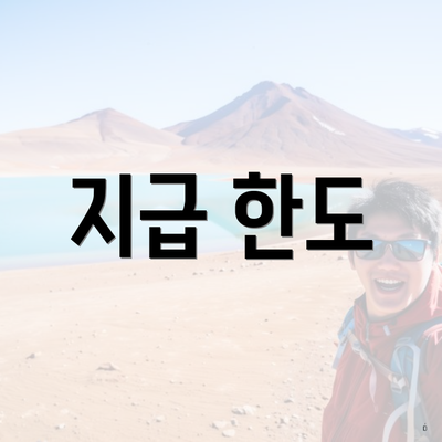 지급 한도