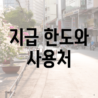 지급 한도와 사용처