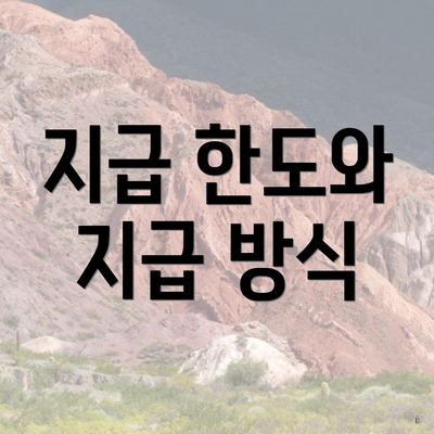 지급 한도와 지급 방식