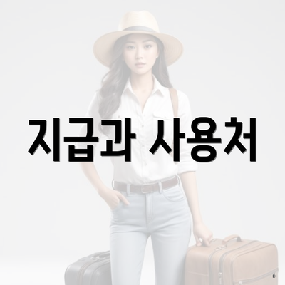 지급과 사용처