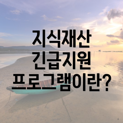 지식재산 긴급지원 프로그램이란?