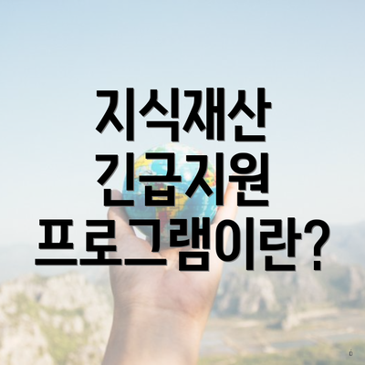 지식재산 긴급지원 프로그램이란?
