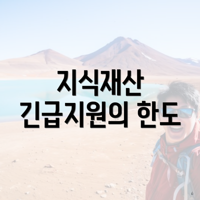 지식재산 긴급지원의 한도