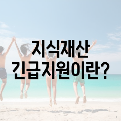 지식재산 긴급지원이란?