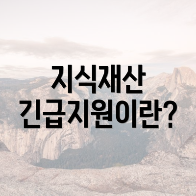 지식재산 긴급지원이란?