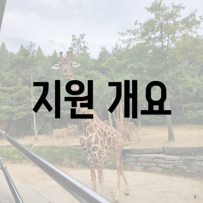 지원 개요