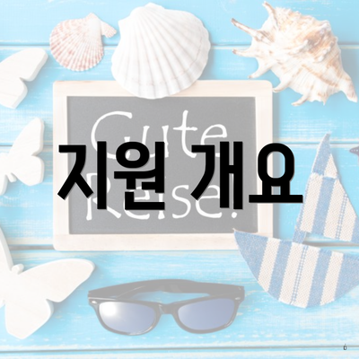 지원 개요