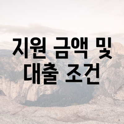 지원 금액 및 대출 조건
