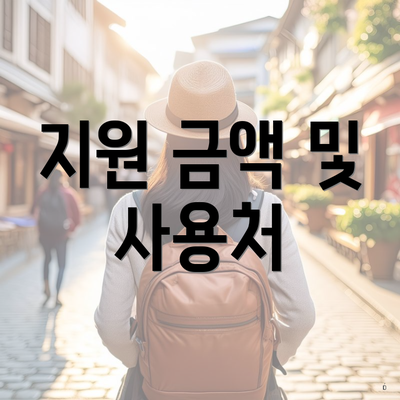 지원 금액 및 사용처