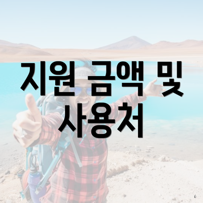 지원 금액 및 사용처