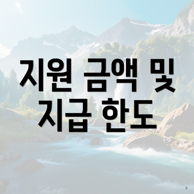 지원 금액 및 지급 한도