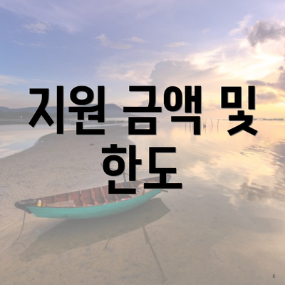 지원 금액 및 한도