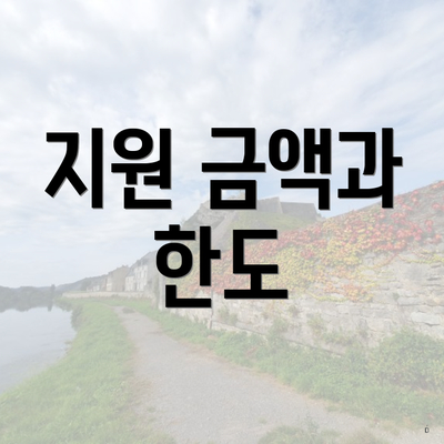 지원 금액과 한도