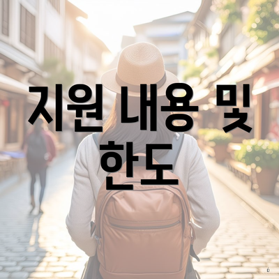 지원 내용 및 한도