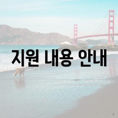지원 내용 안내