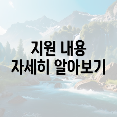지원 내용 자세히 알아보기