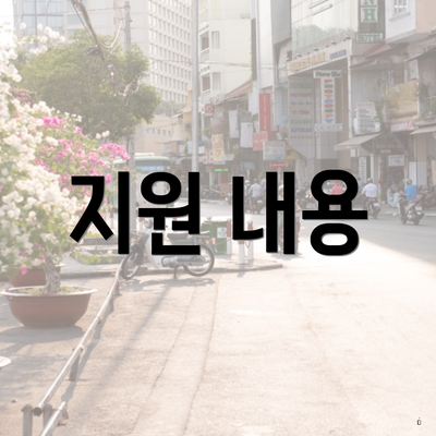 지원 내용