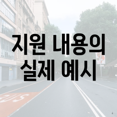 지원 내용의 실제 예시
