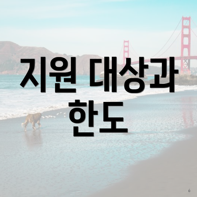지원 대상과 한도