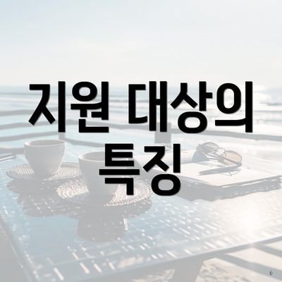 지원 대상의 특징