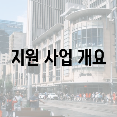 지원 사업 개요