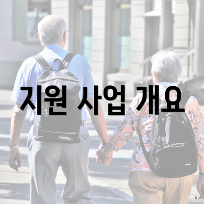 지원 사업 개요