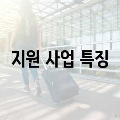 지원 사업 특징