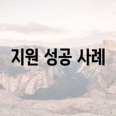 지원 성공 사례