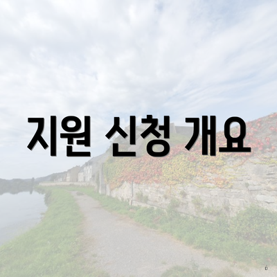 지원 신청 개요