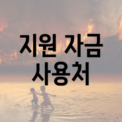 지원 자금 사용처