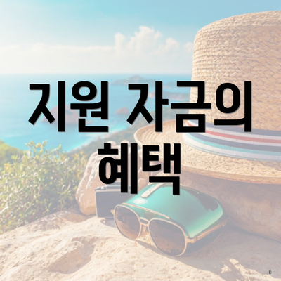 지원 자금의 혜택