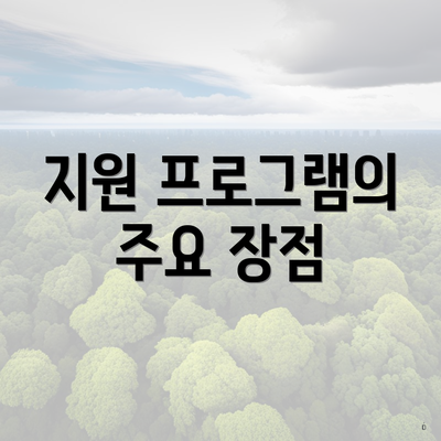 지원 프로그램의 주요 장점