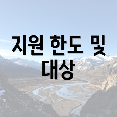 지원 한도 및 대상