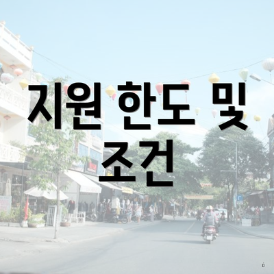 지원 한도 및 조건
