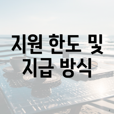 지원 한도 및 지급 방식