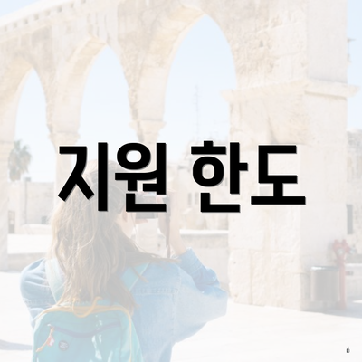 지원 한도