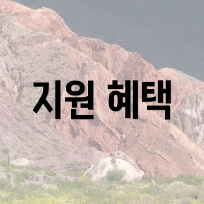 지원 혜택
