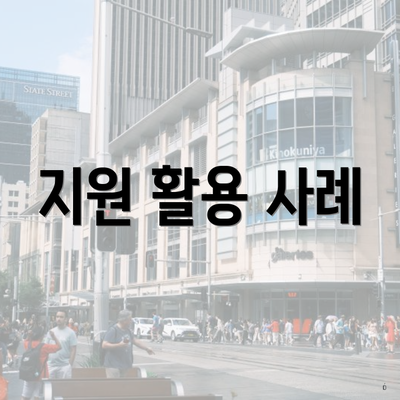 지원 활용 사례