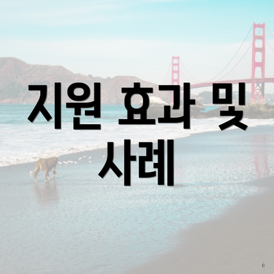 지원 효과 및 사례