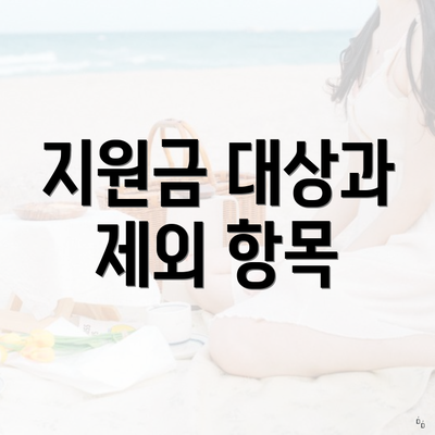지원금 대상과 제외 항목