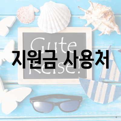 지원금 사용처