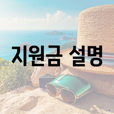 지원금 설명