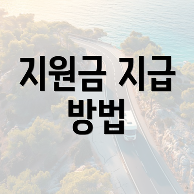 지원금 지급 방법