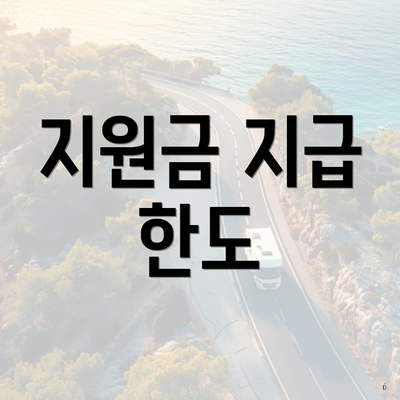 지원금 지급 한도